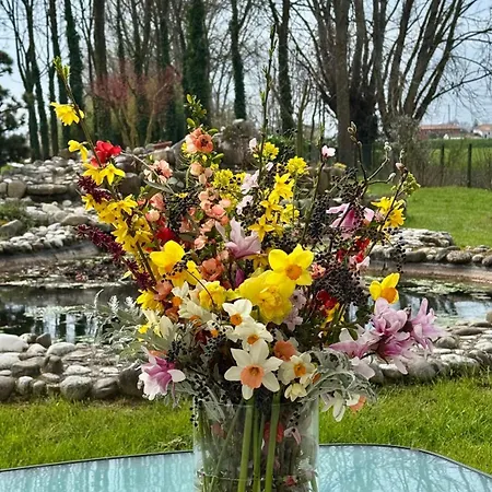 Pool & Garden Lelia Bed & Breakfast Mirano