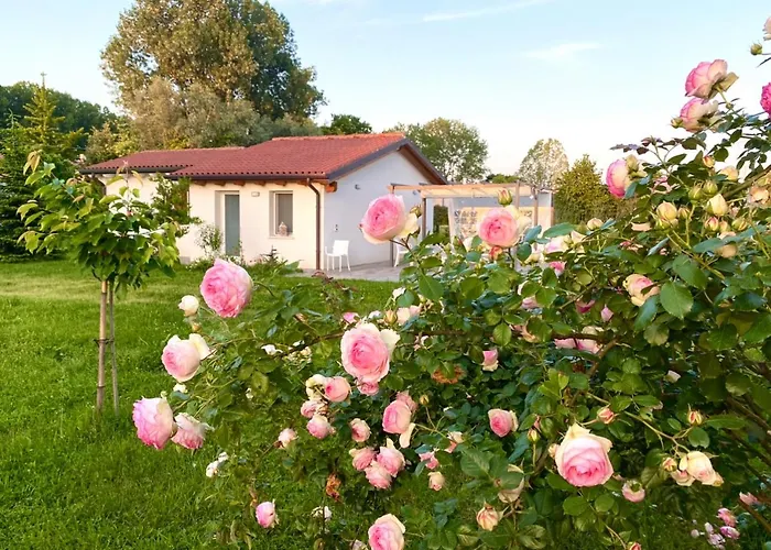 Pool & Garden Lelia Bed & Breakfast