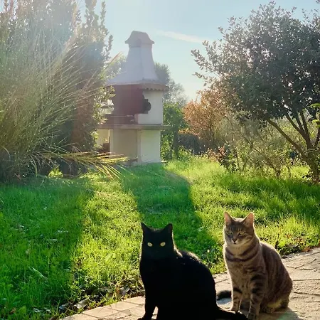 Pool & Garden Lelia 4* Mirano