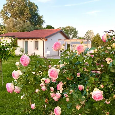 Pool & Garden Lelia Bed & Breakfast