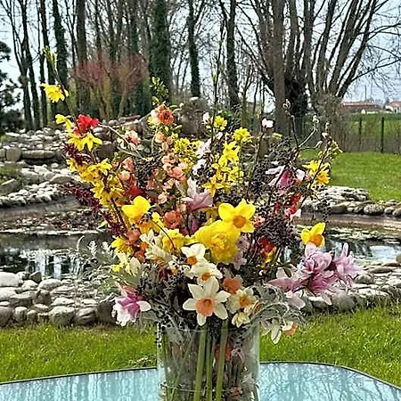 Pool & Garden Lelia