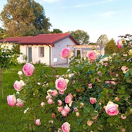Pool&garden Lelia Bed & Breakfast Mirano